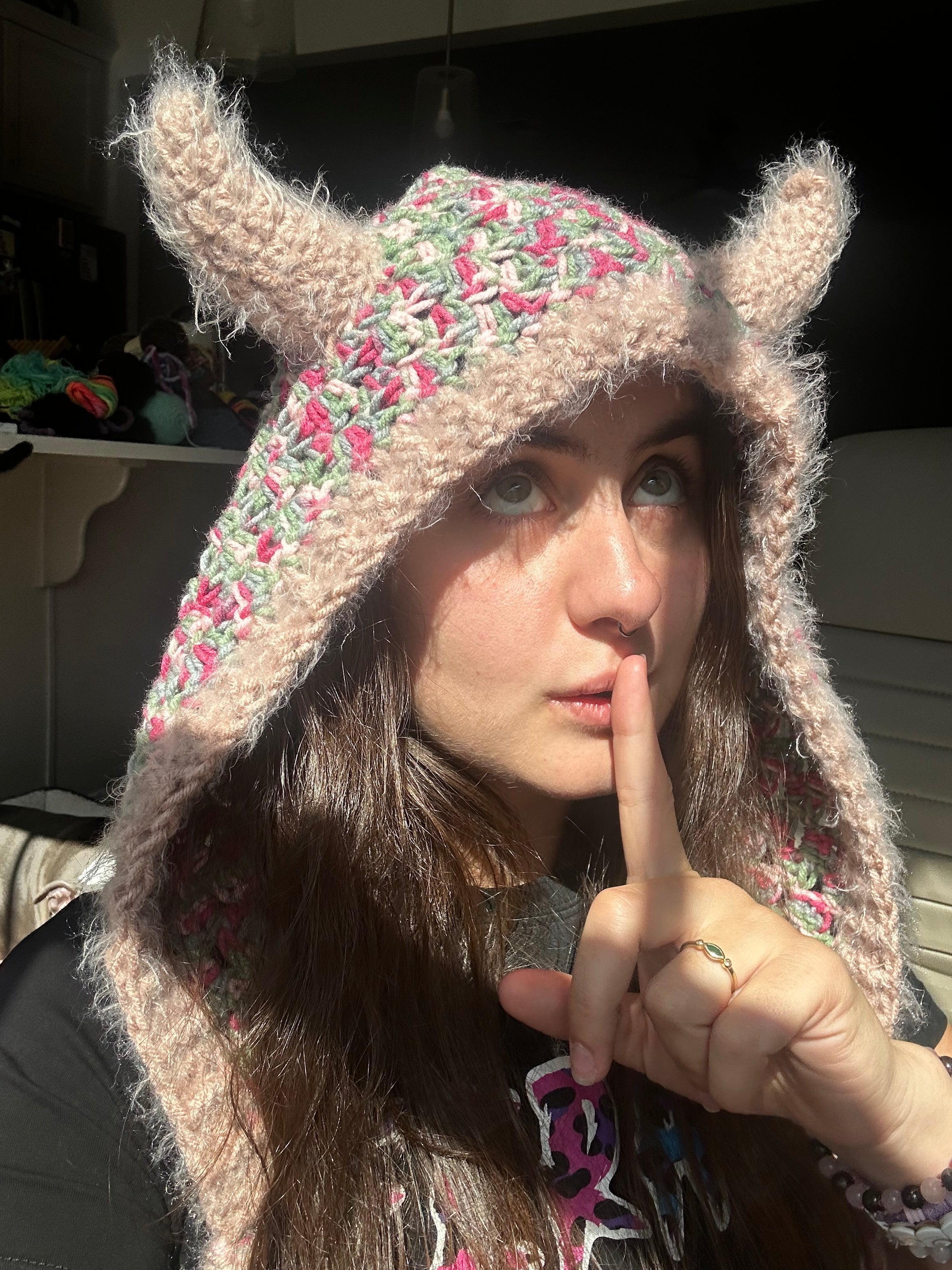 Crochet Hood with Horns & Braids