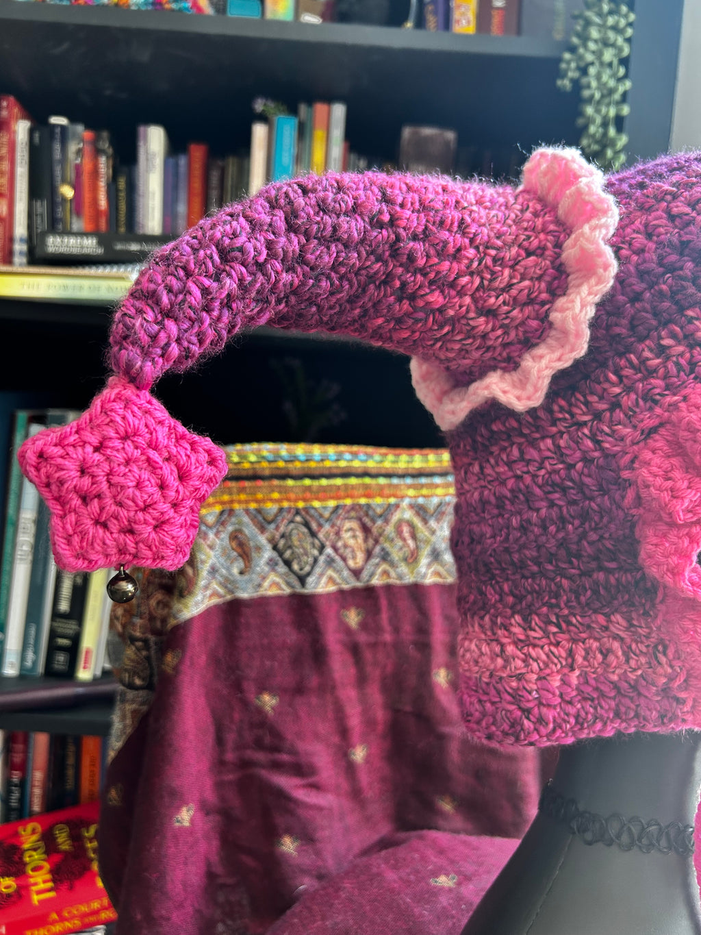 Crochet Jester Hat