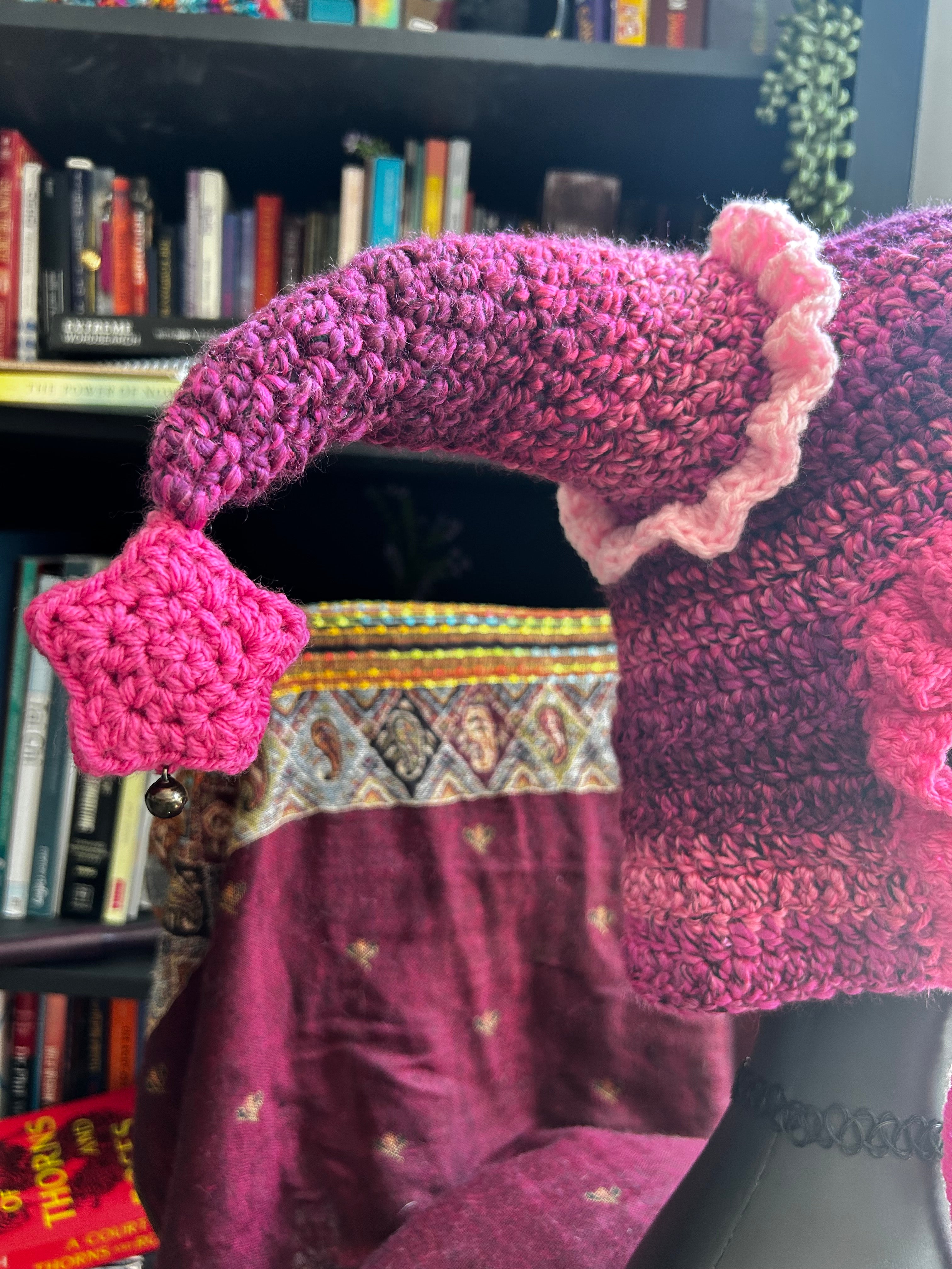 Crochet Jester Hat